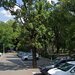 Apartament 2 camere Drumul Taberei, Favorit.Zona verde.Liber